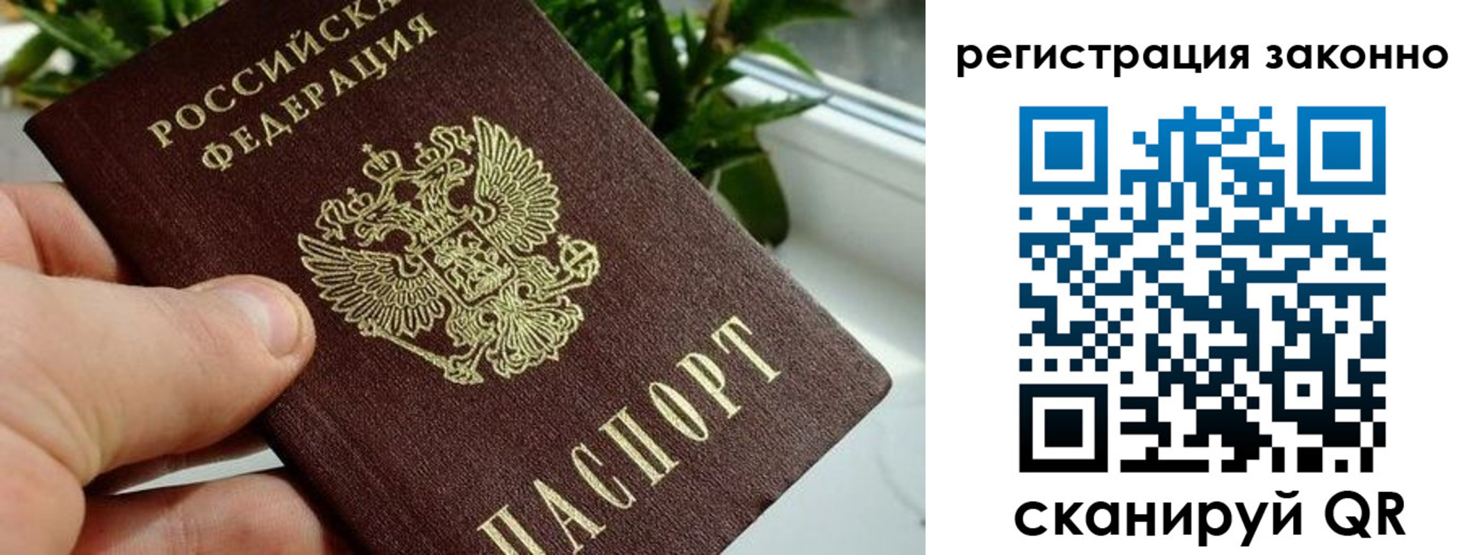 прописка гарантия в Симе